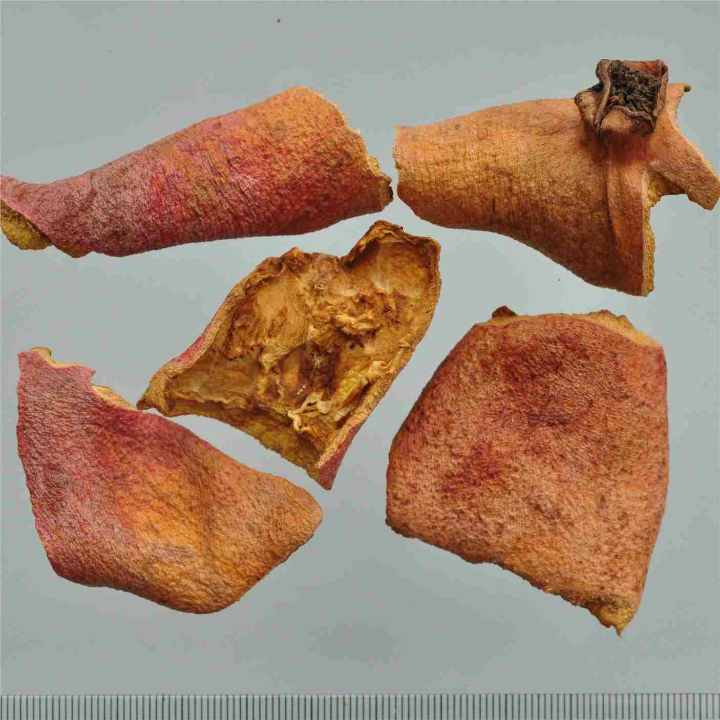 石榴皮granati pericarpium收藏(0)拼音:shiliupi英文名:pomegranate