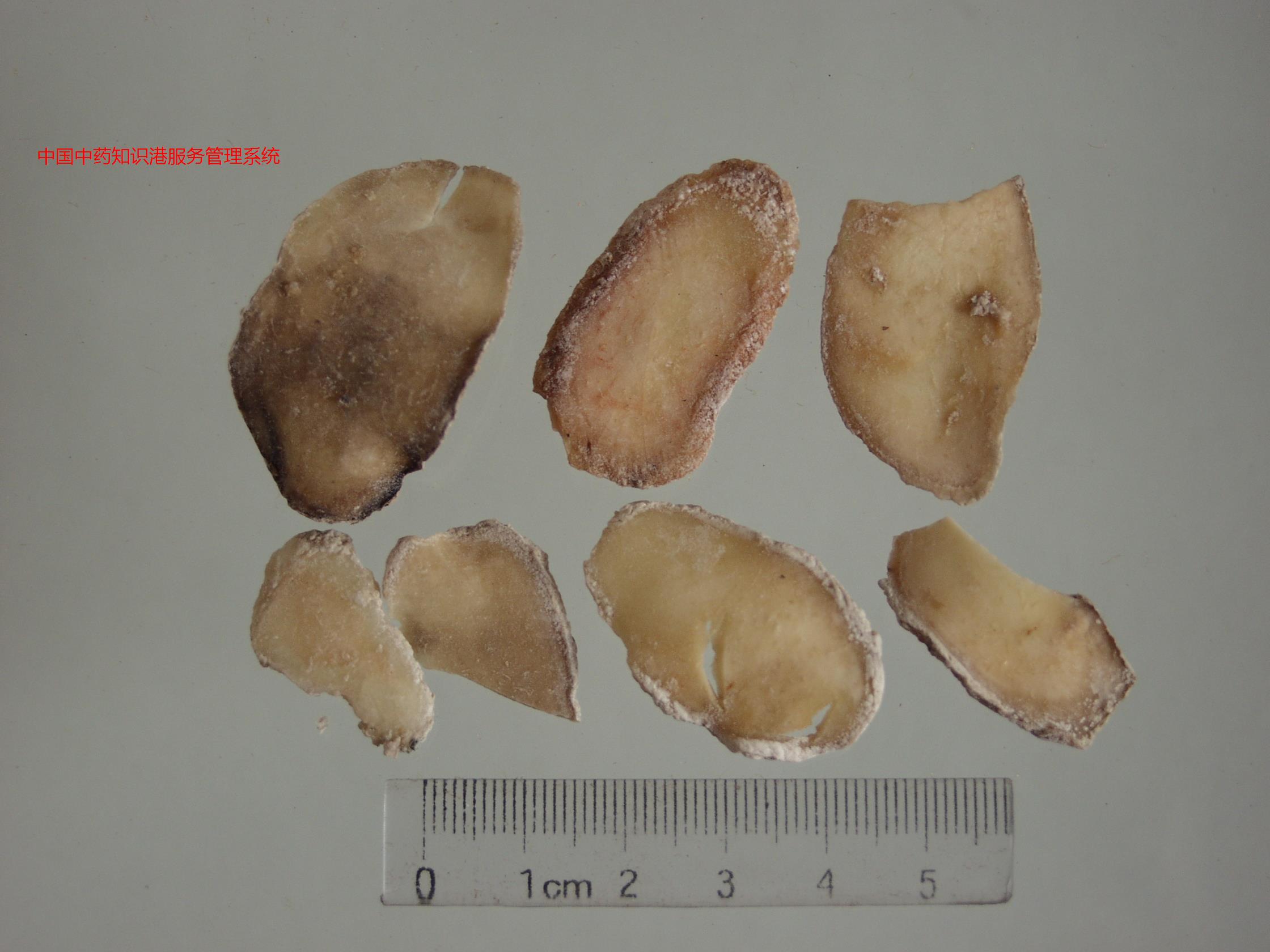 1.00元购买浏览2.50元购买下载制白附子1.00元购买浏览2.50元购买下载白附子1.0