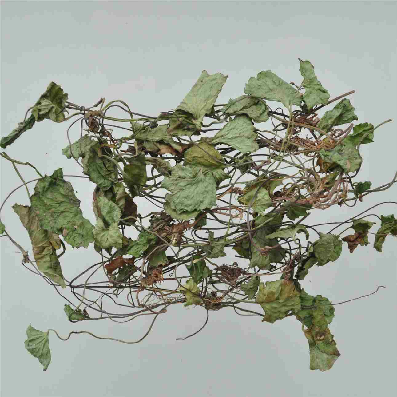 积雪草centellae herba收藏(0)拼音:jixuecao英文名:asiatic