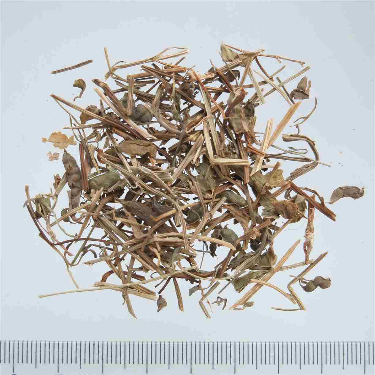 苦地丁corydalis bungeanae herba收藏(0)拼音:kudiding英文名:bunge